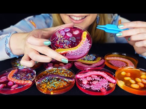 ASMR Eating Petri Dish Experiments (Whispered, Jelly Sounds)