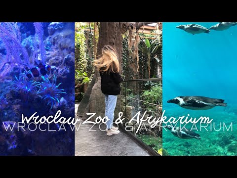 Poland, Wroclaw Zoo & Afrikarium | Место которое должен посетить каждый!