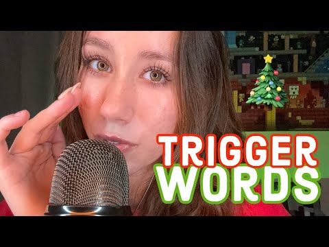 ASMR | repeating tingly christmas trigger words 🎄