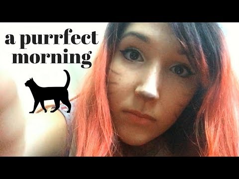 LOW-FI ASMR - CAT ROLEPLAY ~ Morning Kitty Snuggles & Pestering | Kisses, Fabric Scratching ~