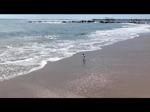 ASMR~ WALK DOWN THE BEACH WITH ME *Waves Sounds*