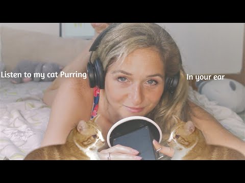 ASMR with my CAT 😺 l Extreme PURRING, 🥰 WHISPERING some fun facts about cats. FAST and Relaxing. 😴💆