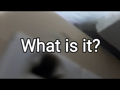 What is it? ep.2