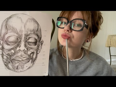 anatomy asmr 🫀🧠 !!| face tracing on myself