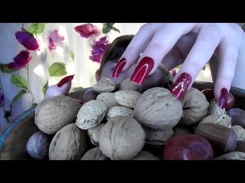 ASMR Wooden and Bassy Sounds ft. Shelled Nuts (NO TALKING)
