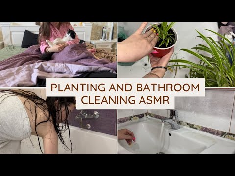 Relaxing ASMR Planting and Bathroom Cleaning: Calming Sounds