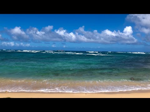 Relaxing Beach, Ocean Waves, Wind (Loop)