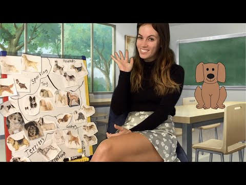 [ASMR] Peacefully Discussing Types Of Dogs