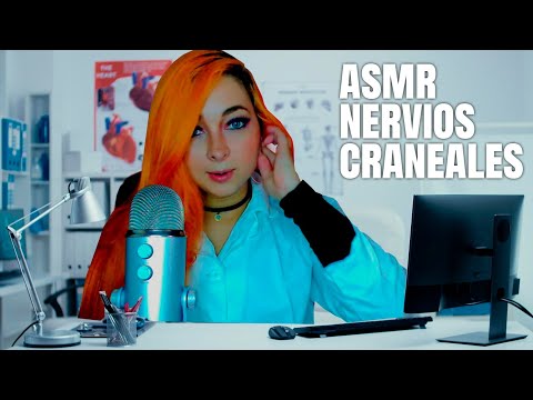 🌙 ASMR  Examen de los Nervios Craneales en Español | Roleplay