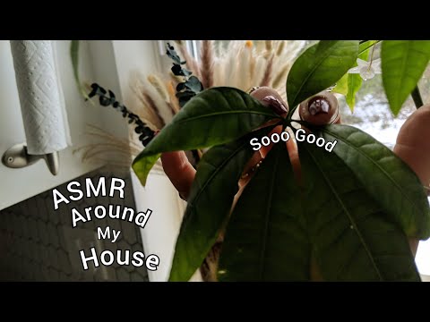 Fast ASMR Around My House (Tapping and Scratching Random items)
