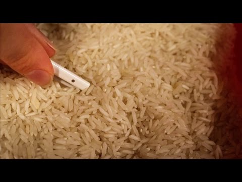 ASMR Microphone Buried in Rice