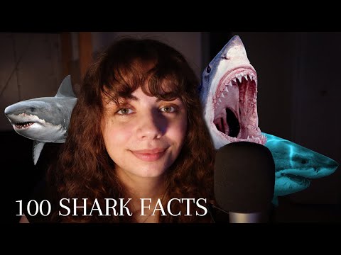 ASMR | 100 Facts About Sharks ~ whispered