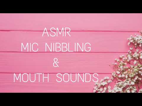 [ASMR] 5hr+ mic nibbling (mouth sounds)
