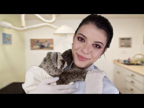 ASMR | Animal Doctor 👩‍⚕️ (Check-up on a Sloth.... YOU!)