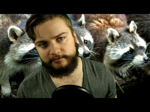Whispering about Raccoons (ASMR) (Close to mic whispering, educational)