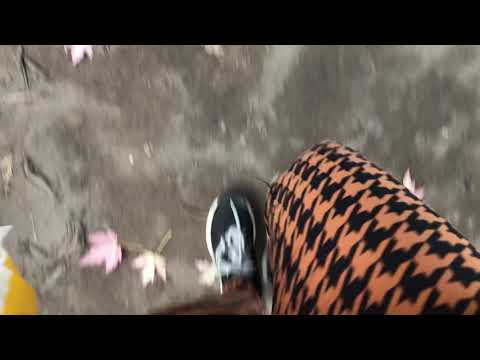 ASMR Fall Feet Walkabout together :) sounds Canadian Autumn beautiful leaves