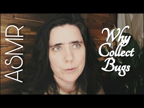 ASMR Why Collect Bugs & My Problems with Animal Rights