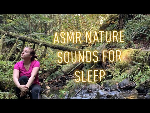 ASMR | Nature Sounds for Sleep / Life Update 💕 babbling brook, waterfall, meditation