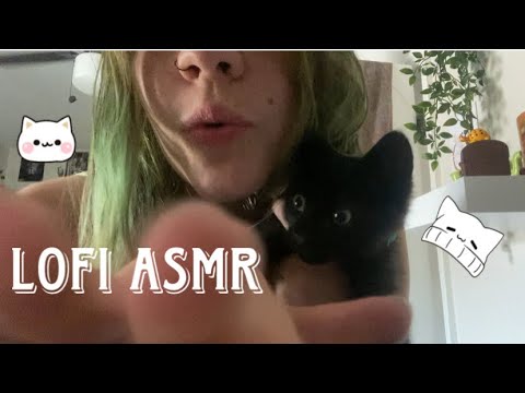 Lofi Asmr around my room w a kitten | Rambles