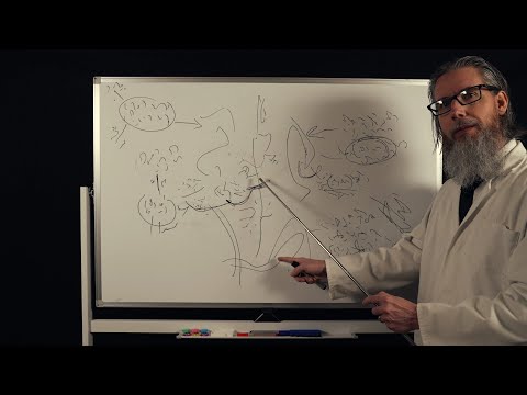 The Unintelligible Professor's Lecture | ASMR