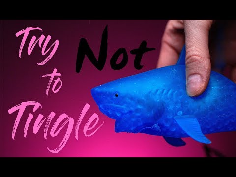 ASMR - Try not to tingle challenge! 🦈