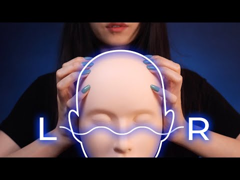 ASMR Tapping Different Areas of Your Brain | 3D Panning Triggers (No Talking)
