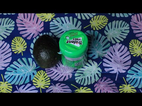AVOCADO TAPPING ASMR CHEWING GUM