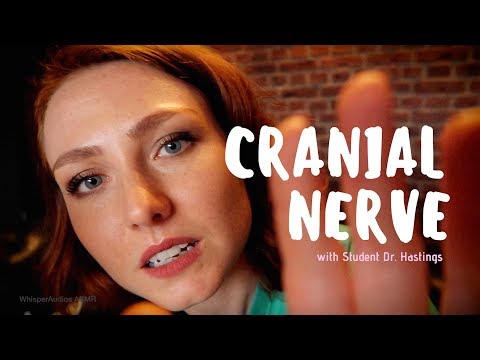 ASMR - Help student Dr. Hastings study for the Cranial Nerve Exam!