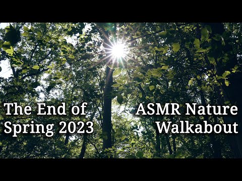 Spring's End 2023 | ASMR Nature Walkabout