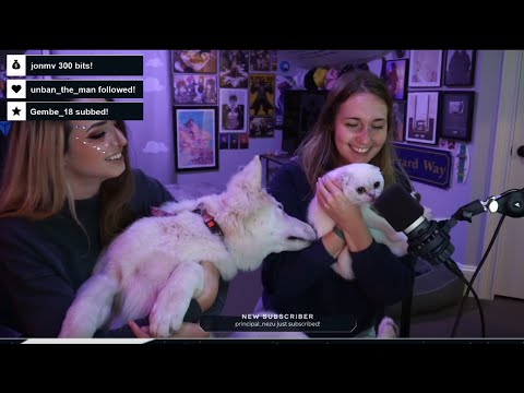 My friend does ASMR for the first time...chaotic // livestream