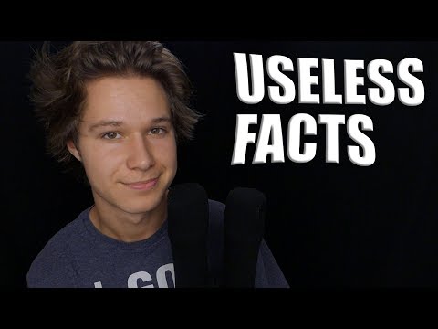 ASMR Even More Useless Facts