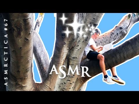 ASMR What Do Tingles Feel Like? | Tree Bark Tapping | Rambling