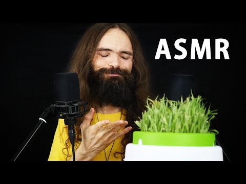 ASMR Making the Grass Tingle for your Sleep | Inaudible, Whisper, Beard & Mouth Sounds