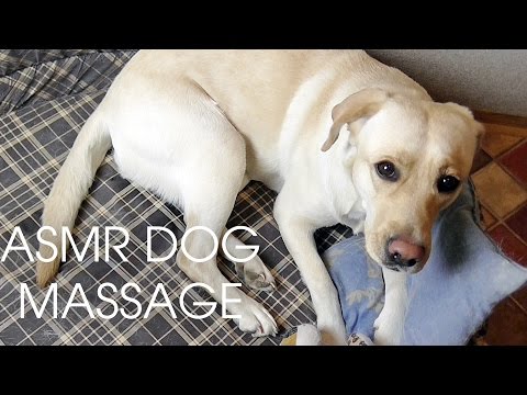 ASMR Relaxing Dog/Pet Massage ♥♥♥