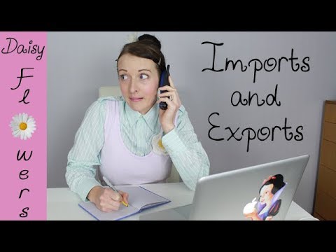 ASMR Role Play - Daisy Flowers - Imports and Exports