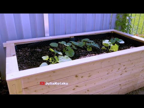 Julia's Life || Backyard Gardening  Part 1 - July 2021