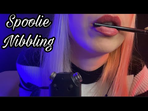 ASMR Spoolie Nibbling + Patlayan şeker | Olumlama