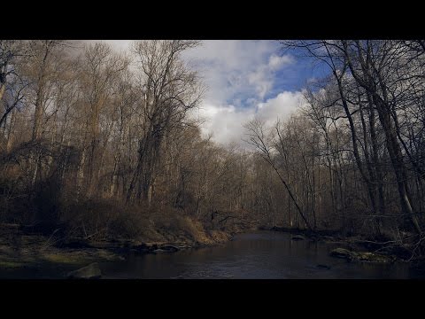 Relaxing Nature Journey 26 ( Winter 2017 / Ridley Creek State Park )