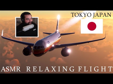 ASMR Relaxing Sunset Flight (Flight Simulator)