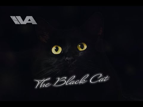 ASMR Kisses & Cuddles Reading You A Scary Story Bedtime Girlfriend Roleplay The Black Cat By Poe Pt1