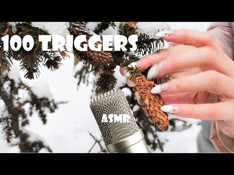 100 triggers in a snowy forest in 1 minute ASMR