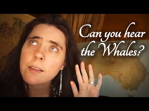 ASMR The Amazing History of Whales & Humans Hunting Together (On Map)