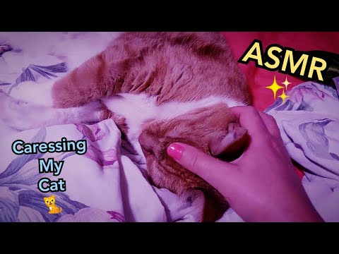 ASMR With Nico ~ Tapping on my CAT
