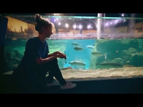 Underwater World Exploration 🦈 ASMR Soft Spoken Aquarium Tour