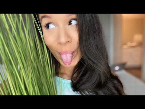 ASMR | Tapping & Fluttering house plants!