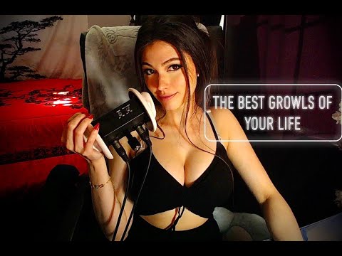 THE BEST PURRING/GROWLING ASMR OF YOUR LIFE