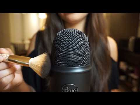 Microphone Brushing with FLUFFY Makeup Brushes | ASMR