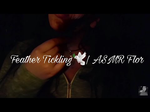 ASMR | Feather Tickling 🕊(tingly, lofi)
