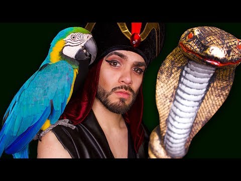ASMR - Jafar & Iago from Aladdin Role Play (Male Soft Spoken)