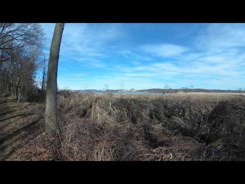 ASMR Hiking Binaural Sunny but Soggy Hike with Blue Skies and Wet Sounds (Full Video)